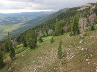 IMG_1842.jpg
