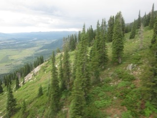IMG_1843.jpg