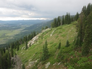 IMG_1844.jpg