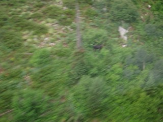 IMG_1846.jpg