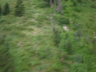 IMG_1847.jpg